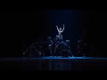 ცეკვა ვაჟა Dance Vazha ანსამბლი აფხაზეთი Ensemble 
