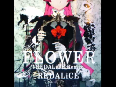 FLOWER REDALICE