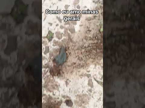 como eu amo o sul de Minas, monte belo mg,santa cruz
