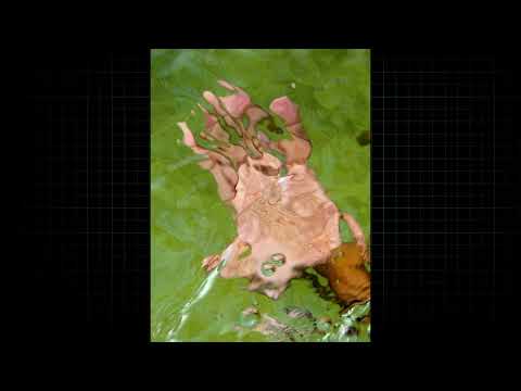 *FREE* BHZ x Cro x Majan x Type Beat - "Nachts" (prod. jonny)