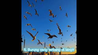 Download lagu Inilah tanda tanda kebesaran Allah SWT #viral #shorts #kebesaranallah mp3 Download lagu Inilah tanda tanda kebesaran Allah SWT #viral #shorts #kebesaranallah mp3