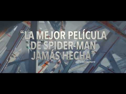 Todos somos Spider-Man