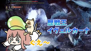 【MHW:IB】歴戦イヴェルカーナ　ソロ挑戦【モンハン】