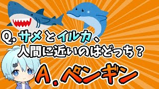 【そらねこ】この新人歌い手、会話が出来なさすぎてやばいwww 【きみゆめ】【そらねこ切り抜き】 #Shorts