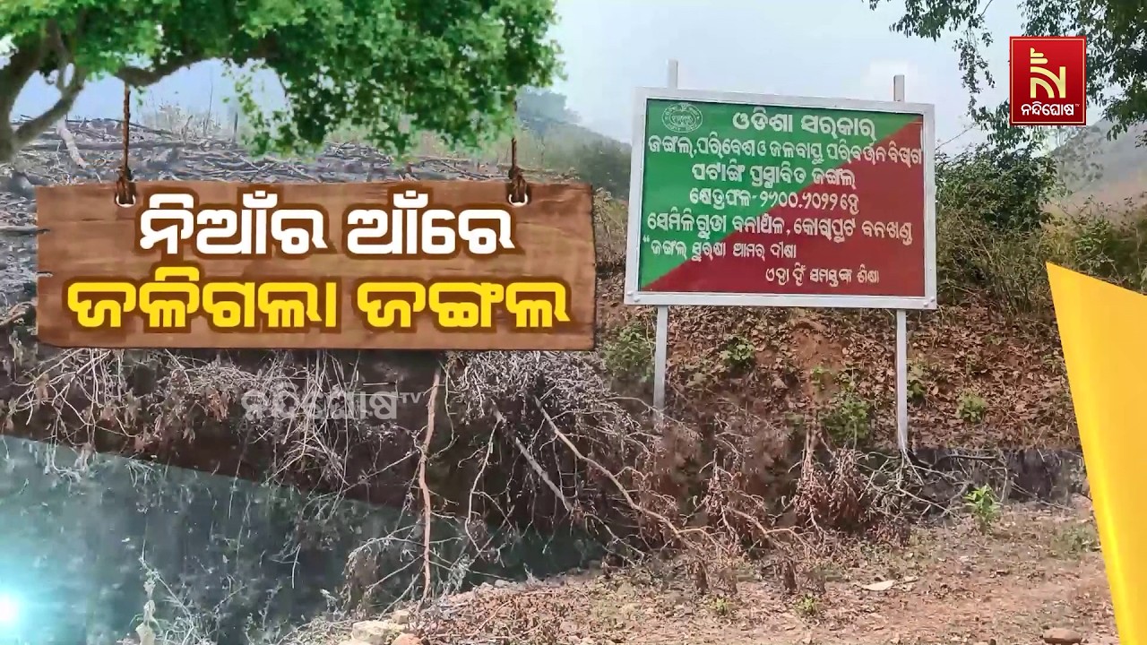 ଧ୍ଵଂସ ହୋଇଯିବ କି କୋଟିଆ ପାହାଡ଼? ଆନ୍ଧ୍ର-ଓଡିଶା ସୀମାନ୍ତ କ?