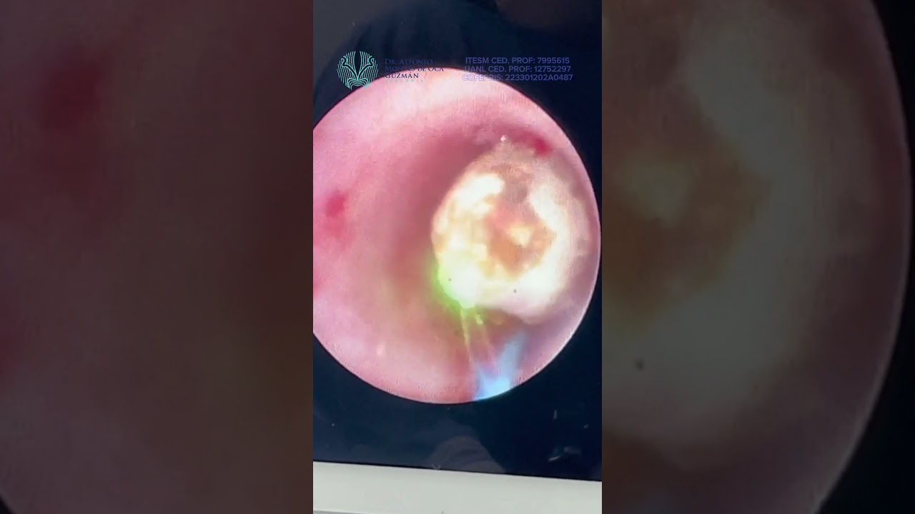 Alfonso Montes De Oca Guzmán-14