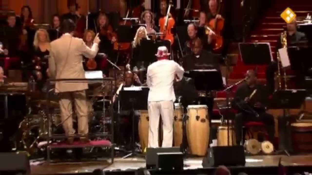 Edgar Burgos (Trafassi Solo)