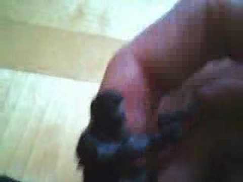 Misprint Halo ActionClix card