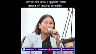 झापाको हात्ती आतंक र सुकुम्वासी समस्या समाधान गर्न सरकारको ध्यानाकर्षण