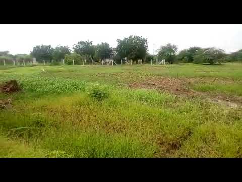 Agricultural Land Sale In Tuticorin