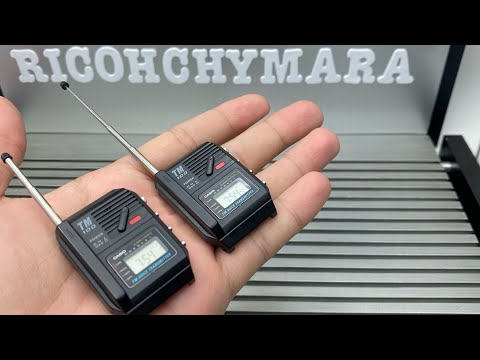 Casio TM-100 FM Transmitter 1987