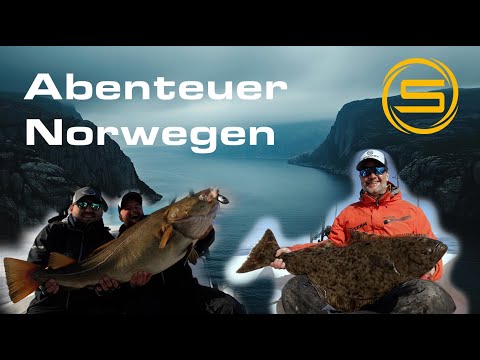 Zwischen Klippen & Wellen – Expedition Nordmeer 2025‼️