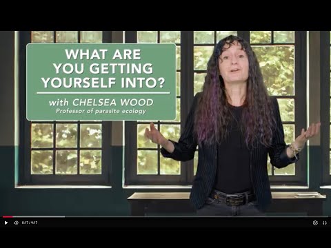 What are you getting yourself into?