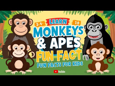 Monkey Facts for Kids | Animals For Kids | Monkeys and Apes for Kids | Meet Primates |  Fun Facts