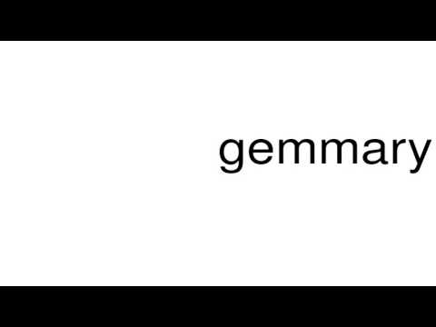 How to pronounce gemmary