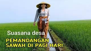 Download lagu SUNDANESE SONG WITH RICE FIELD NATURE VIBES@Dsh700 mp3