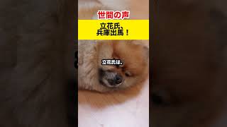 【世間の反応】立花孝志氏、兵庫参院選出馬！当選への秘策とは？#shorts