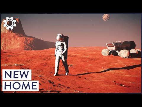 The Ultimate Cosmic Journey: Can Humanity Ever Survive On A New Planet?