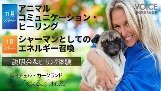 11月スタート「アニマルコミュニケーション・ヒーリング」 1月スタート「「シャーマンとしてのエネルギー召喚」 説明会・ヒーリング体験 by レイチェル・カークランド Rachel Kirkland