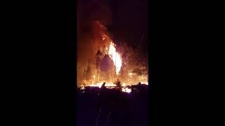 Wildland Fire 2017