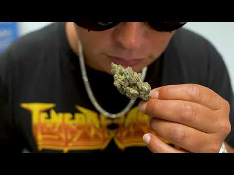 Welcome to Prime Cutz by Scott Storch!