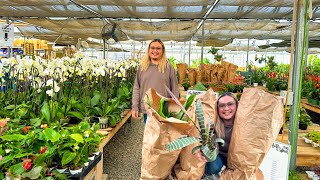 Outdoor Nursery + Wholesale Greenhouse (sales open to public)