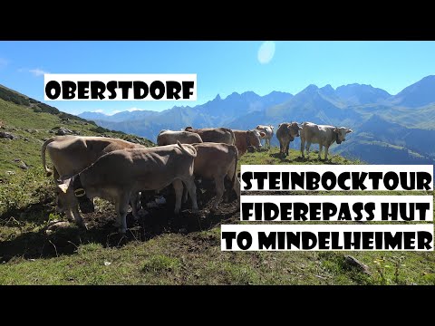 Oberstdorf from Fiderepasshütte to Mindelheimerhütte, Steinbocktour
