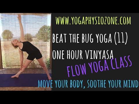 Beat the Bug Yoga 11- one hour vinyasa flow class