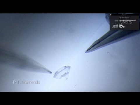 PTDiamonds ⎟Sortoscope