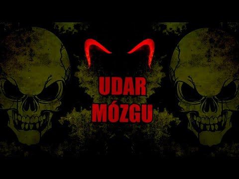 Vixa udar mózgu (Siwy Mix)