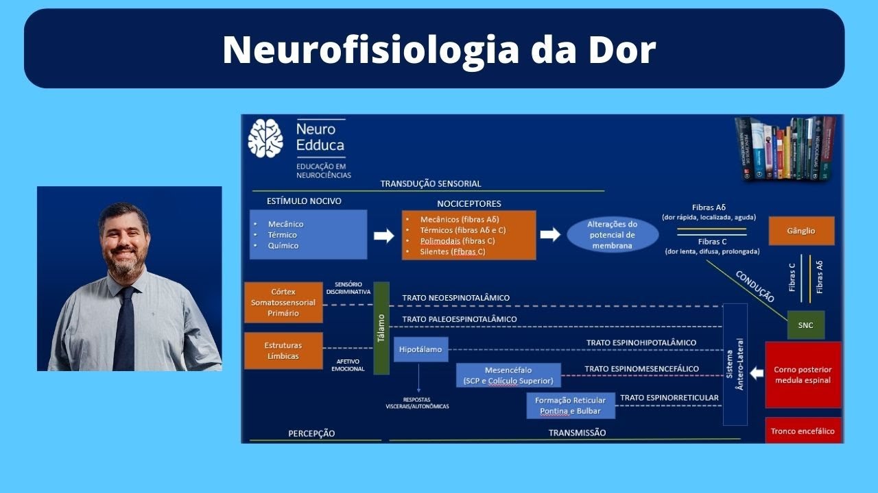 Neurofisiologia da Dor: Aula 02