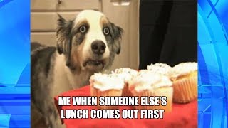 Thank GIF It's Friday: Life in a Nutshell