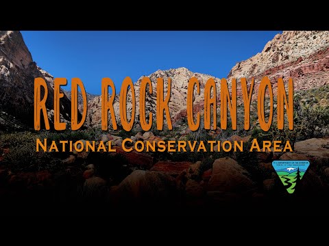 Vídeo de Scott Wehba