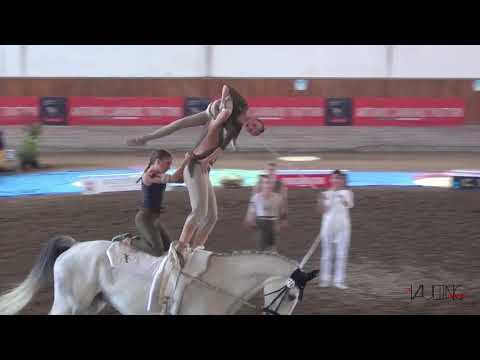 GUT WAFFENSCHMIEDE JUNIOR I (GER), cvi Portogruaro 2019