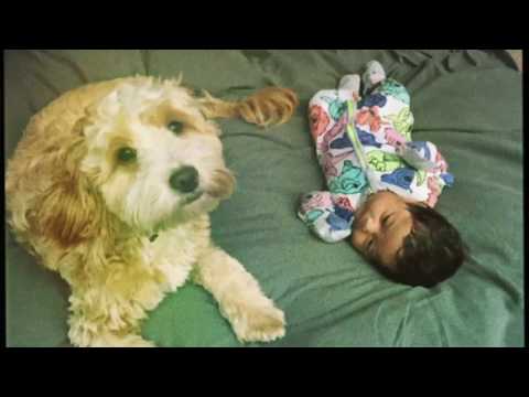 Sahida Apsara - ft. Dub FX • Baby Steps