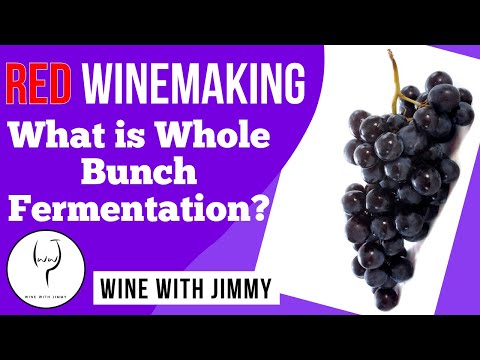 WSET Level 4 (Diploma) Red wine making: Whole Bunch Fermentation
