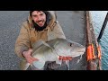 Urban OCEAN fishing from the harbour around Reykjavik ICELAND. BIG COD!!