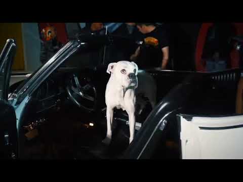 Chop - Chillz (Official Music Video)