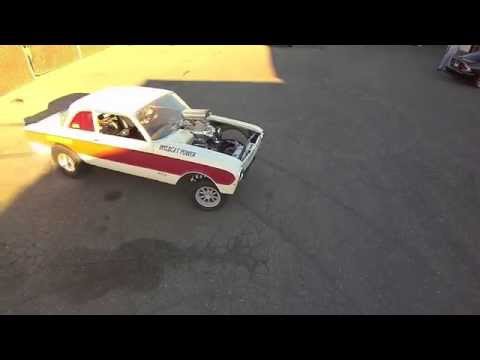 Strange Bird Gasser Does Donuts