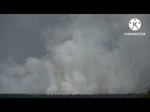 Großbrand Radeburg Waldbrand Thiendorf Dobra Feuerwehreinsatz