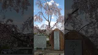 淡河八幡神社〜兵庫県三木市〜