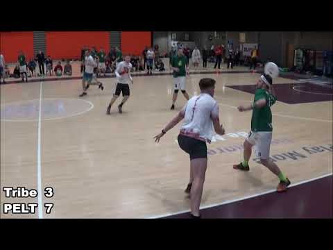 Tribe vs PELT - Men's Indoor All-Ireland Ultimate Championship 2020 Final