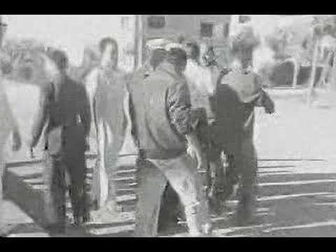 Italian Air Force (Regia Aeronautica) in Action - 1942