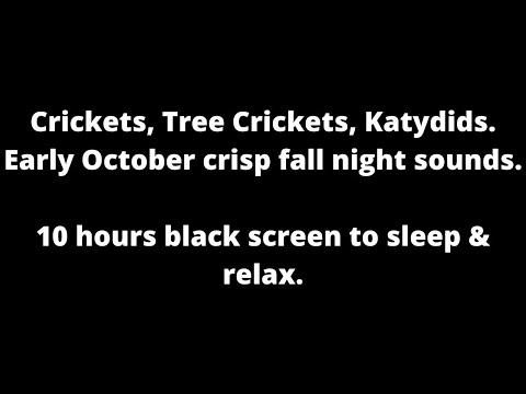 Early October Crickets, Tree Crickets, Katydids black screen to sleep & relax 10 hour cricket sounds