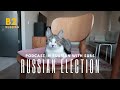 RUSSIAN ELECTION vocabulary in context. Learn Russian through content. Russian podcast with subs B2