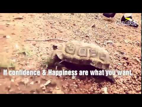 Ralph Waldo Emerson "The Man Is, What He Thinks About All Day Long"