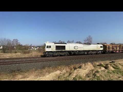Class 77 (077 037-5) mit Güterzug - Zahlreiche Wagons mit Holz beladen