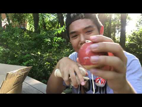 ⚠️$19.99 For a Pro Model?! WHAT?!?! Krom Kendama 2017 Pro Mods Unboxing.