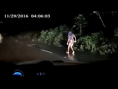 12 Most Disturbing Things Caught on Dashcam Footage (Vol. 2)