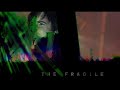 Nine Inch Nails- The Fragile Live "DVD"